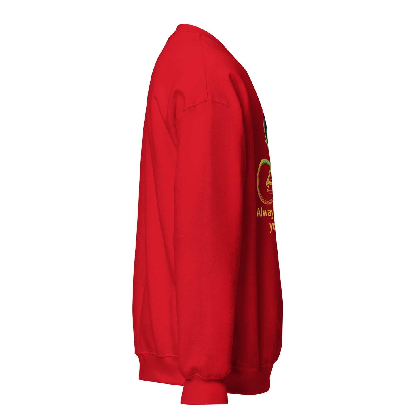 Unisex-Pullover