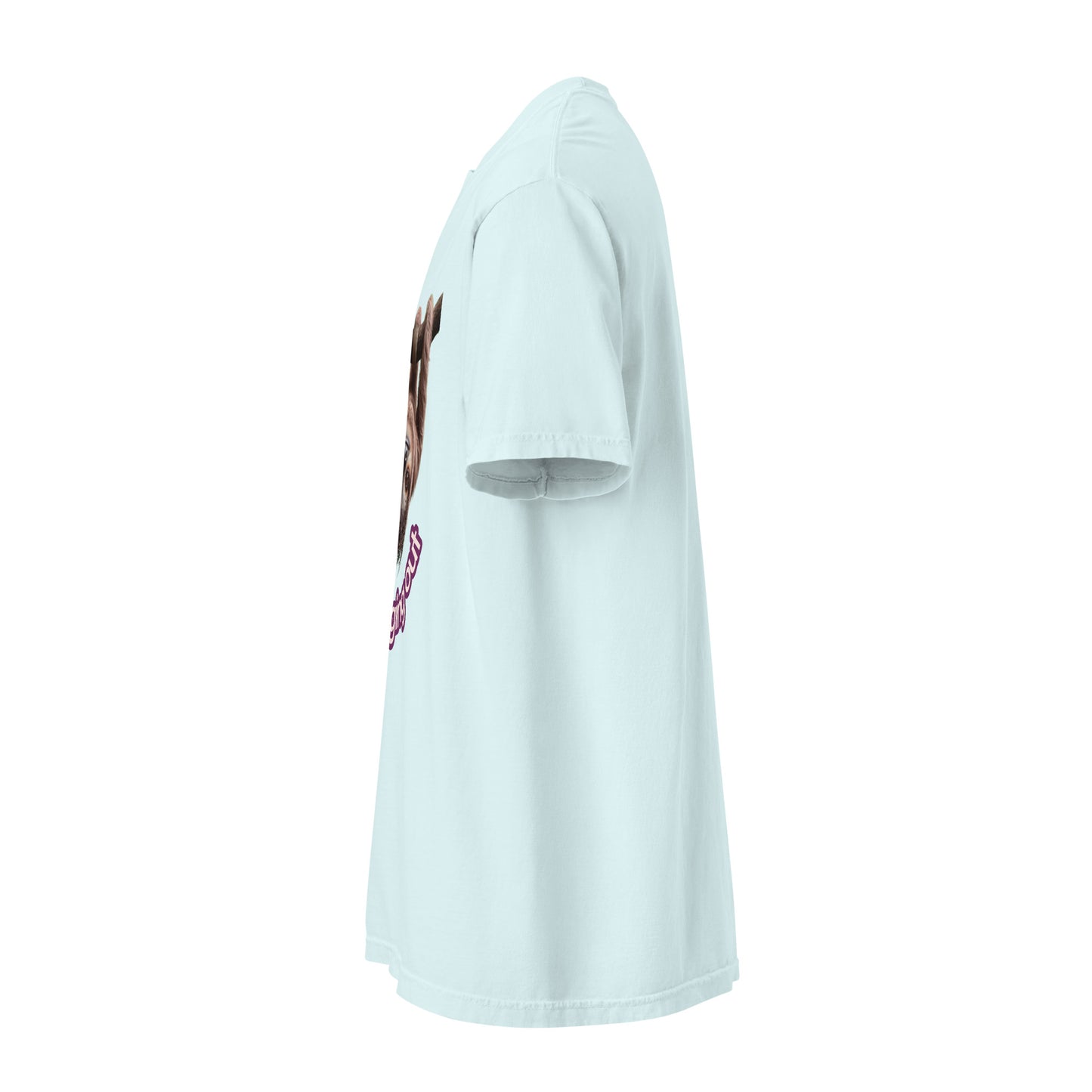 Unisex garment-dyed heavyweight t-shirt