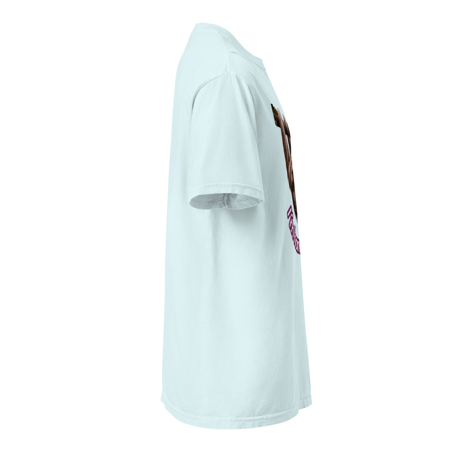 Unisex garment-dyed heavyweight t-shirt