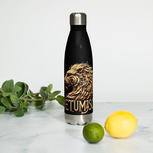 Stainless steel water bottle