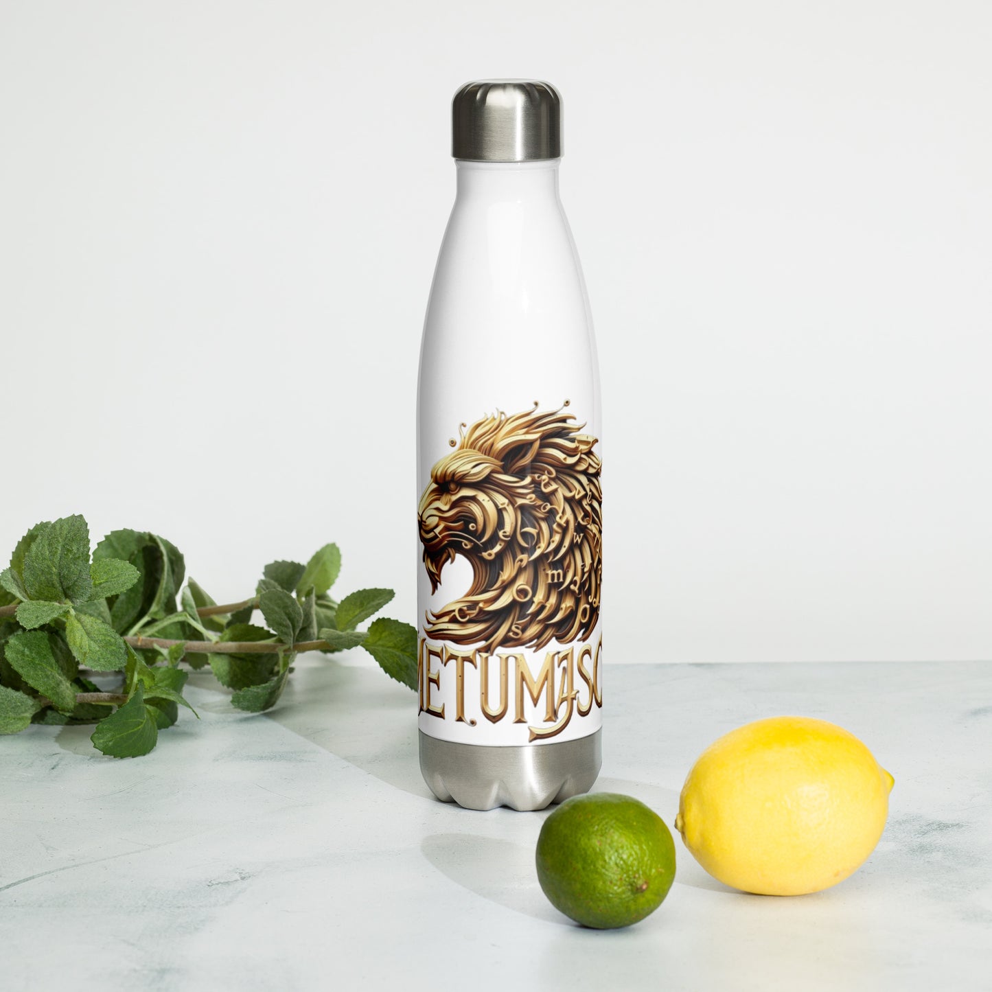Stainless steel water bottle