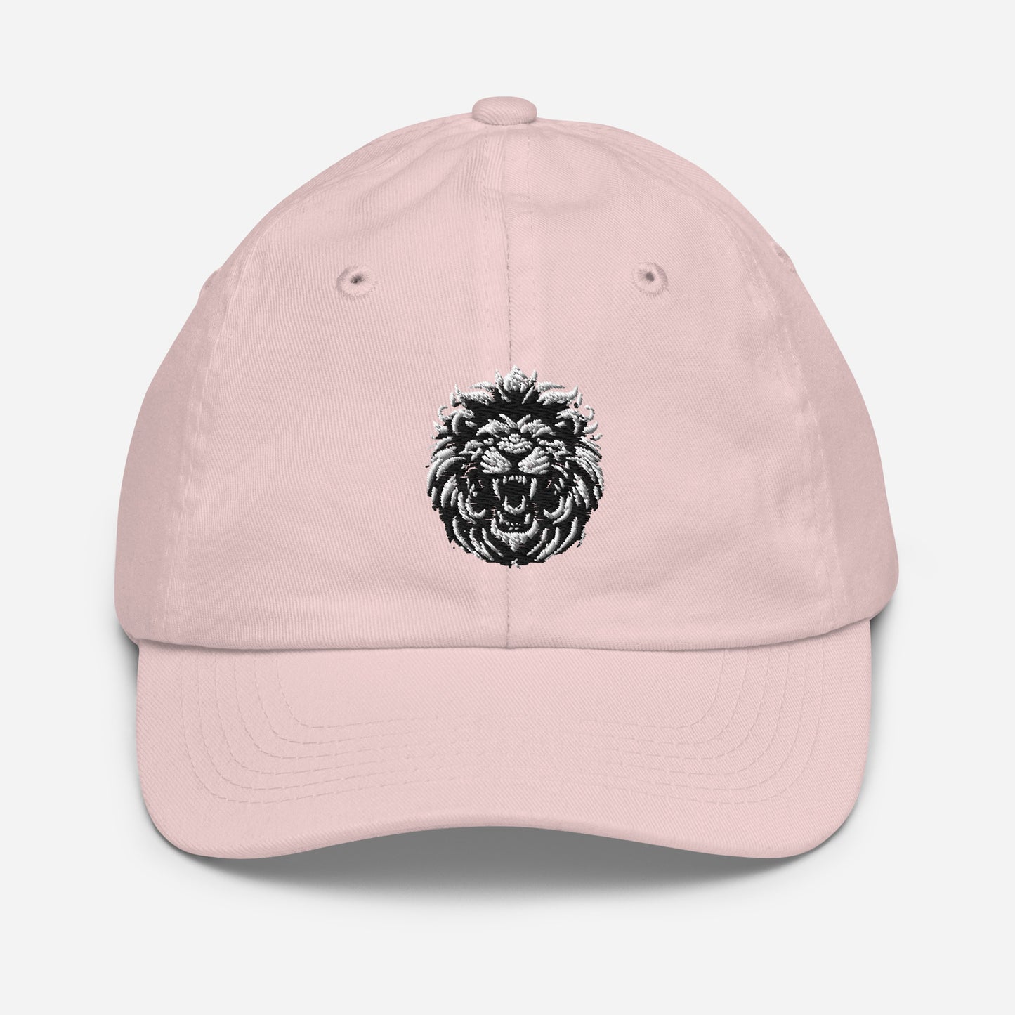 Youth baseball cap